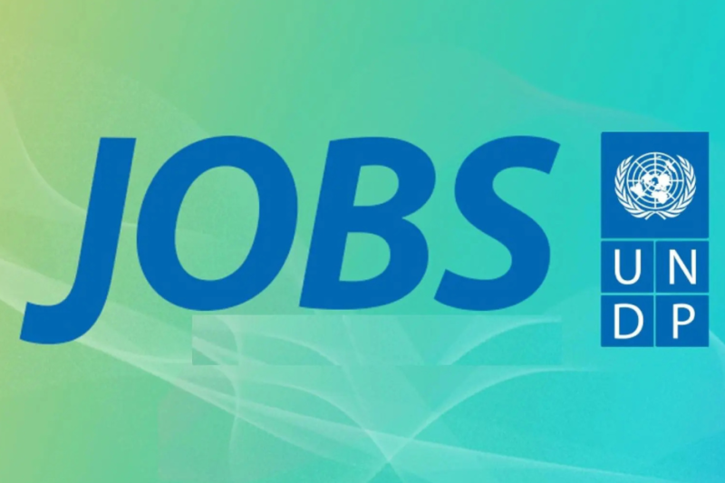 UNDP Hiring Remote AI & Data Interns 2026 — Apply Online