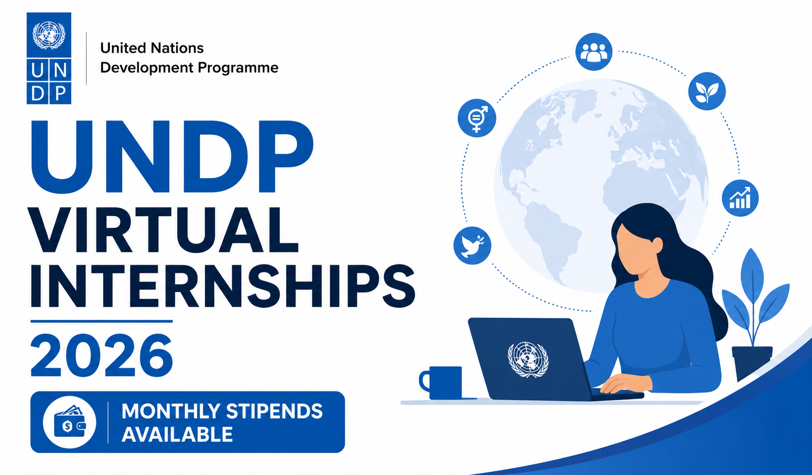 UNDP Virtual Internships 2026 — Monthly Stipends Available ...