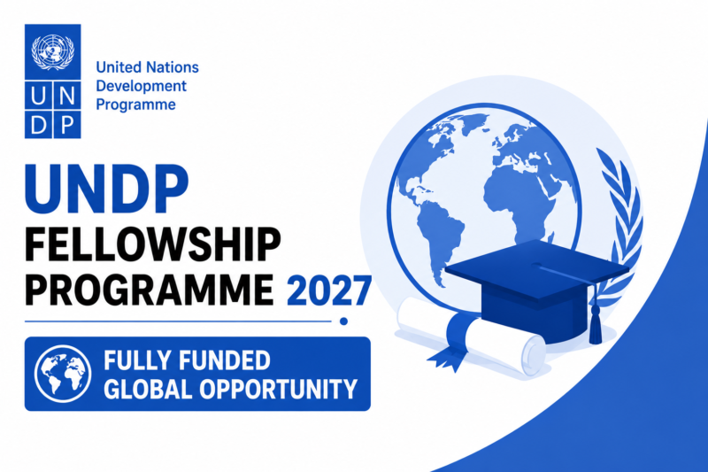 Fully Funded UNDP Fellowship Programme 2027: Offering Funding and Mentorship