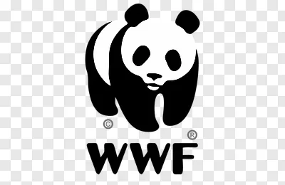 WWF Conservation Funding Applications Open for Master’s and PhD Students Worldwide