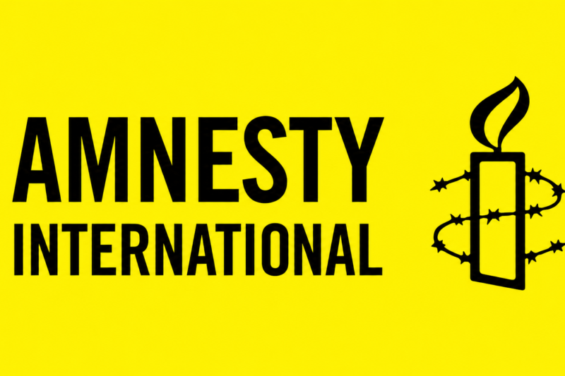 Amnesty International Human Rights Traineeship Program Applications Open