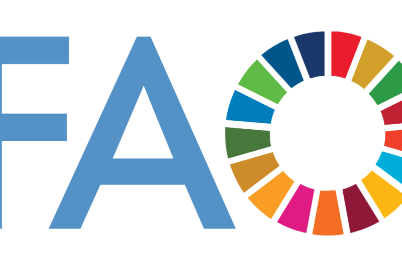 FAO Fully Funded Agriculture and Food Security Fellowship Applications Open in 2026
