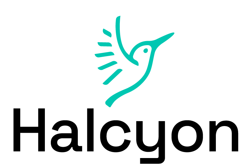 Halcyon Fellowship 2027 Applications Open for Social Entrepreneurs Worldwide