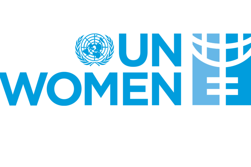 UN Women Fellowship Programme 2027 Champions Gender Equality Leadership