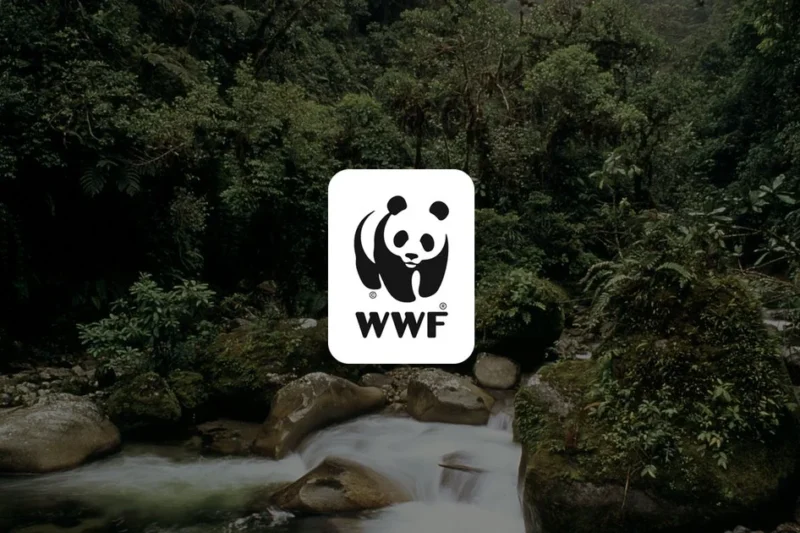 World Wildlife Fund Hiring Paid Prospect Research Intern with Competitive Hourly Pay of USD 20.50–22.50