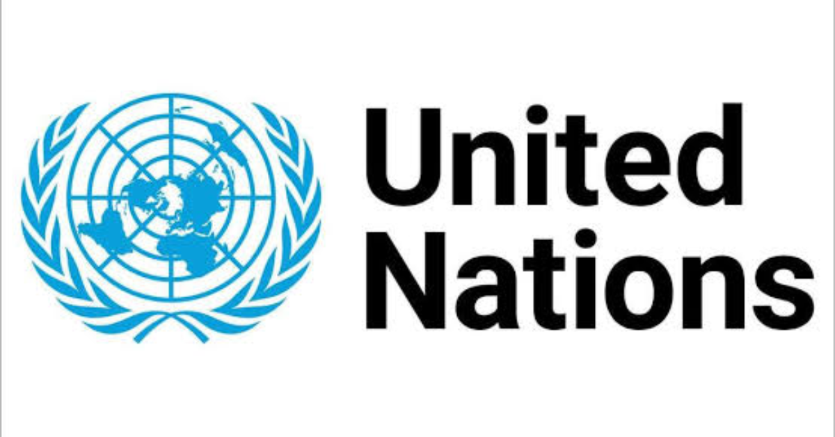 Free United Nations E-Learning Courses Offer Global Skills Development Opportunities